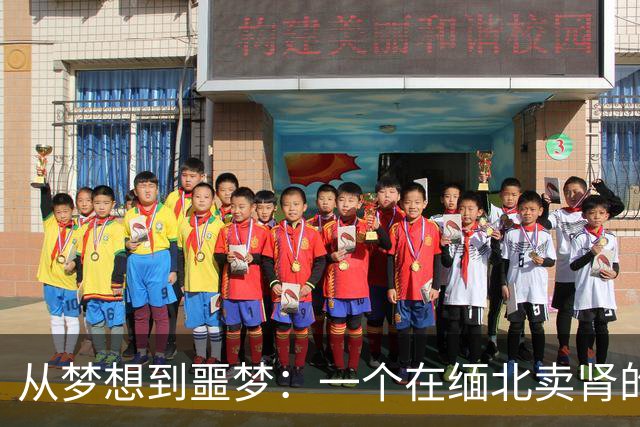从梦想到噩梦：一个在缅北卖肾的故事