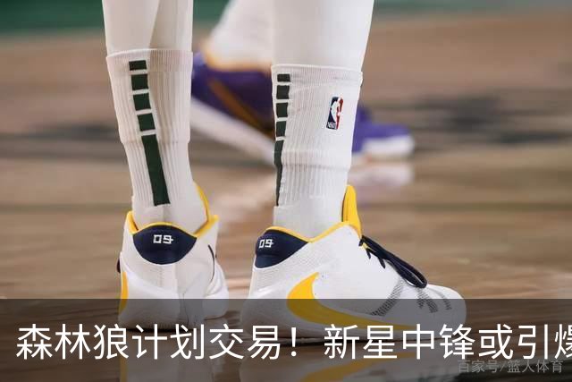 森林狼计划交易！新星中锋或引爆球队重建