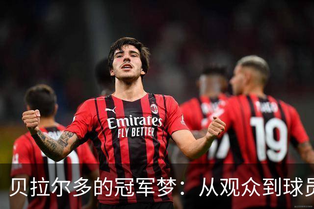 贝拉尔多的冠军梦：从观众到球员的华丽转身